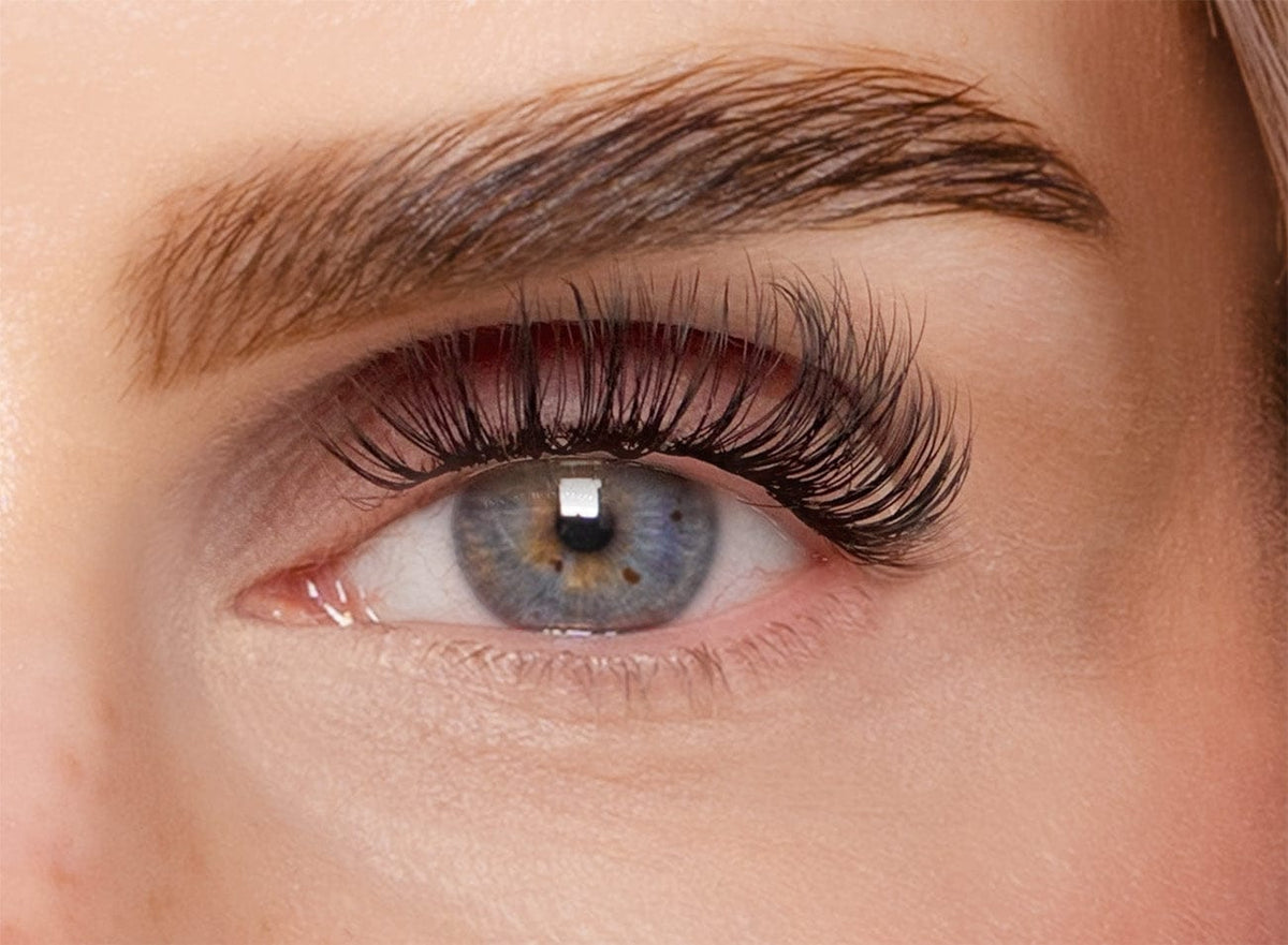 All You Need Is Lashes – Valentines Bundle 2026 (Classic DIY)