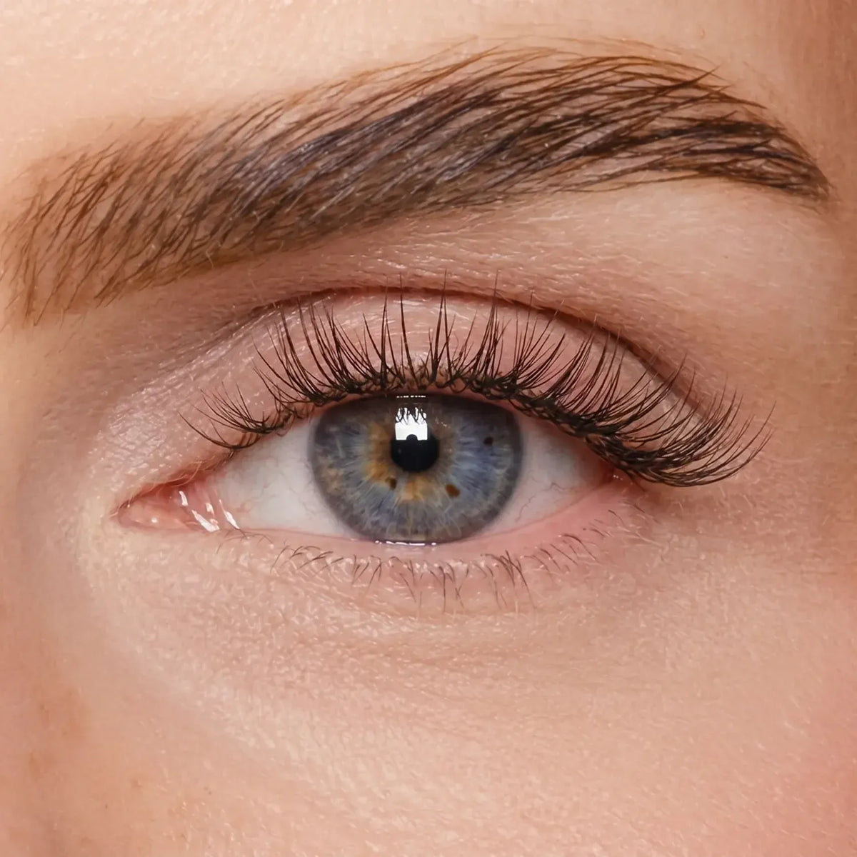 DIY Wimpernsegmente – Volume 2 (Classic DIY)