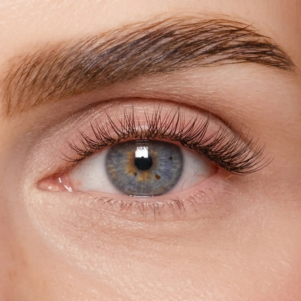 DIY Wimpernsegmente – Volume 2 (Classic DIY)